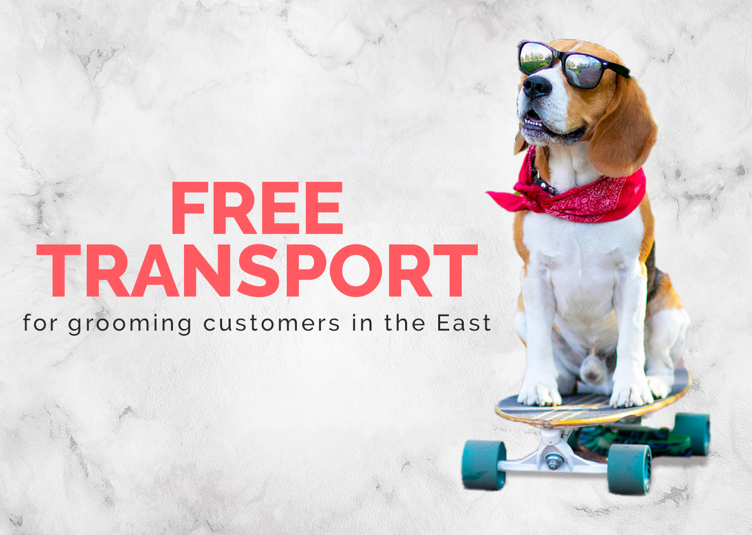 Online Pet Store in Singapore Pet Master